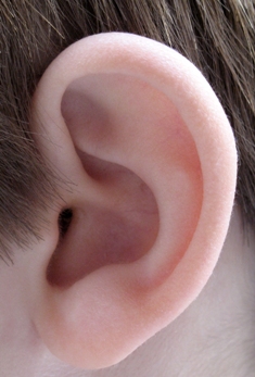 This macro photo of an ear was taken by "Sophie" ... a photographer from Montreal Canada...audio books are meant for ears to hear!